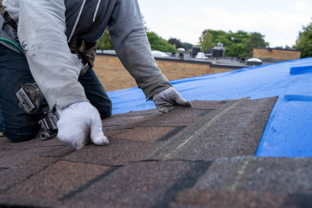 Best Sheet Metal Roofing  in Leadwood, MO